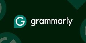 Using Grammarly to edit affiliate blog content